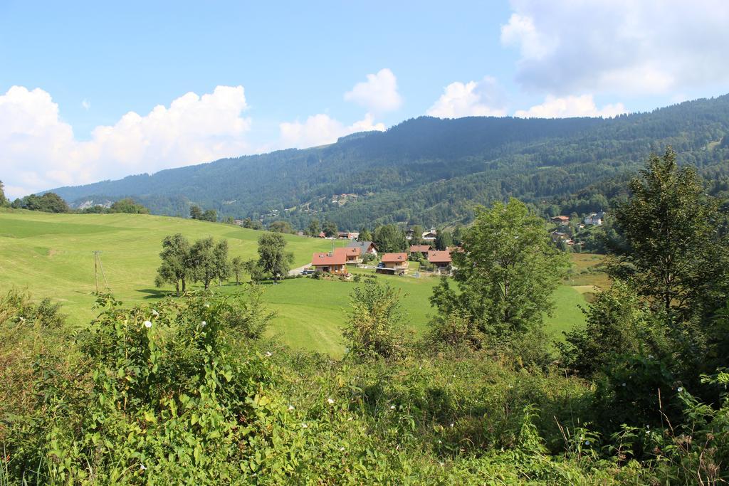 Le Chalet D'Ulysse Araches-la-Frasse Номер фото