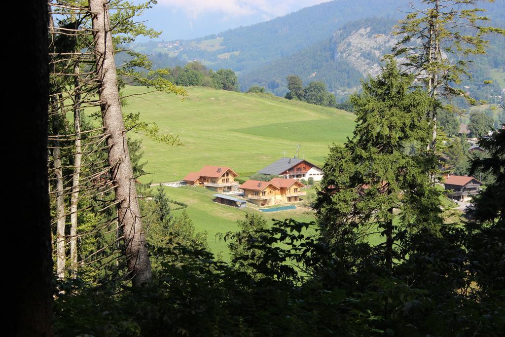 Le Chalet D'Ulysse Araches-la-Frasse Екстер'єр фото