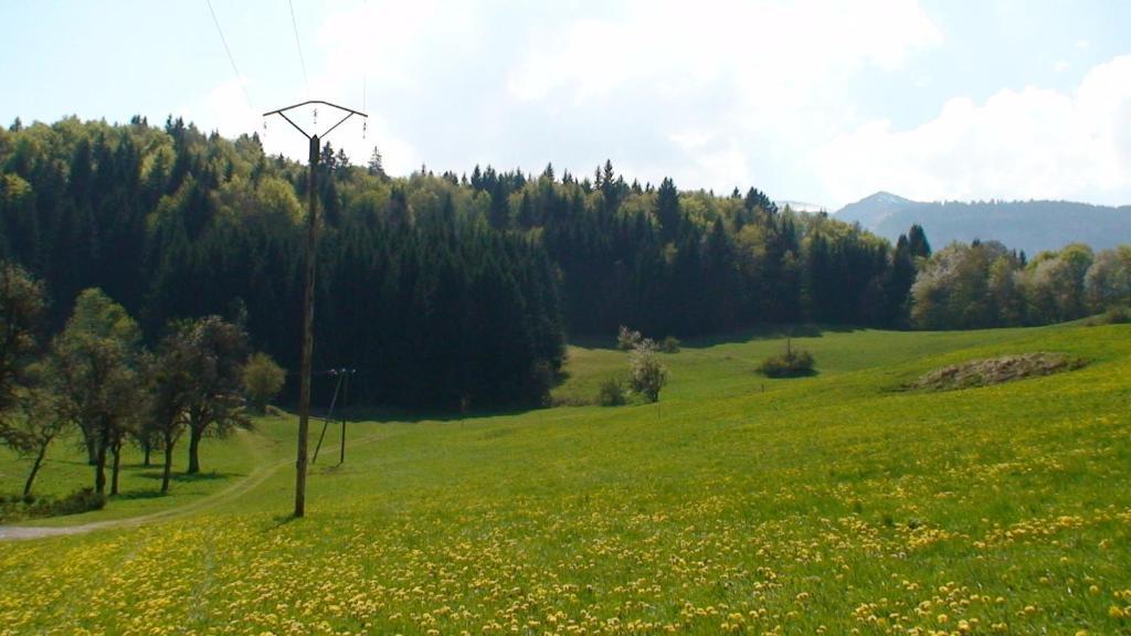 Le Chalet D'Ulysse Araches-la-Frasse Екстер'єр фото
