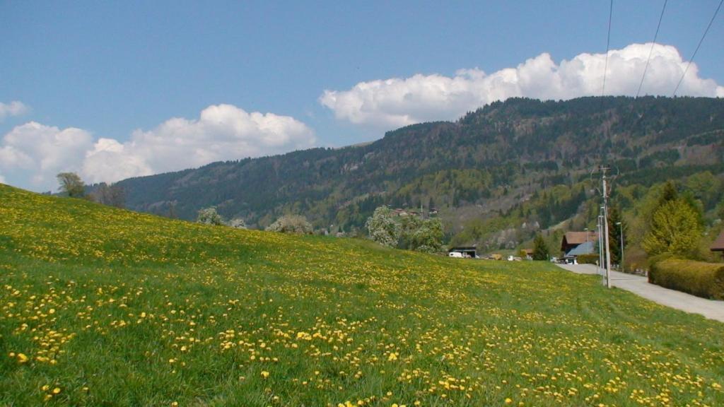 Le Chalet D'Ulysse Araches-la-Frasse Екстер'єр фото